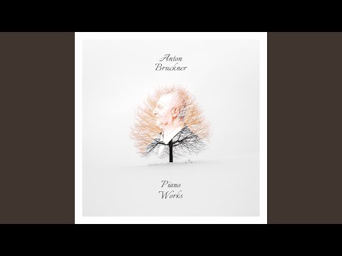 Vadim Chaimovich & Anton Bruckner - Erinnerung in A-Flat Major, WAB 117