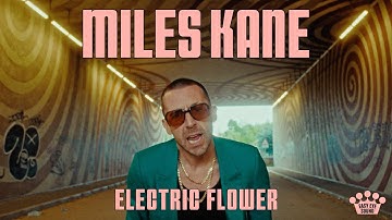 Miles Kane - "Electric Flower" [Official Music Video]