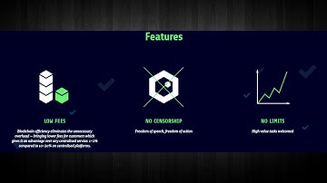 CryptoTask - Audit by Peter Vessenes