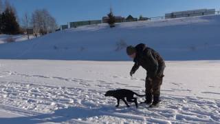 Скип. Запомненная.