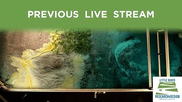 Live Stream: Wavemaker vs. Mangrove Forest