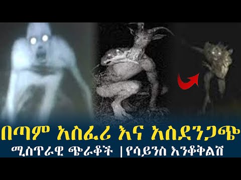 ቪዲዮ: የባህር ጭራቆች። በጣም አስፈሪ ጭራቆች