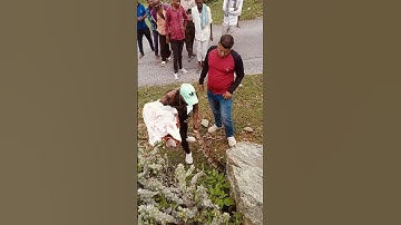 Python rescue udaipur 💥🐍😮🫡 #youtubeshorts #shortsviral #kingsnake #music #song #viralonsocialmedia