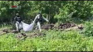Identifican a uno de los cuatro cadáveres hallado en Ario de Rayón