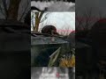 Deadly Battle in Pokrovsk #militaryanalysis #warupdate