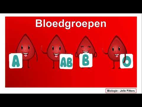 Video: Wat Is Die Mees Algemene Bloedgroep?