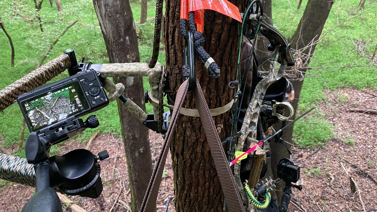 Saddle Hunting on Maryland's Opening Day of the 2020 Archery Season