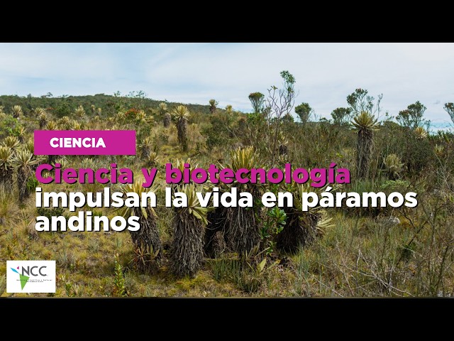 Ciencia y biotecnología impulsan la vida en páramos andinos