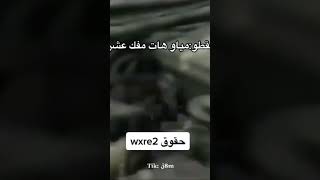 القطو : مياو هات مفك عشره من وين طلع مدري 😂😂