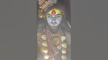 Bhole Charniy Aradhana #mahadev #viral #mahakal #muktidangadhvisong #shortsfeed #shambhoo