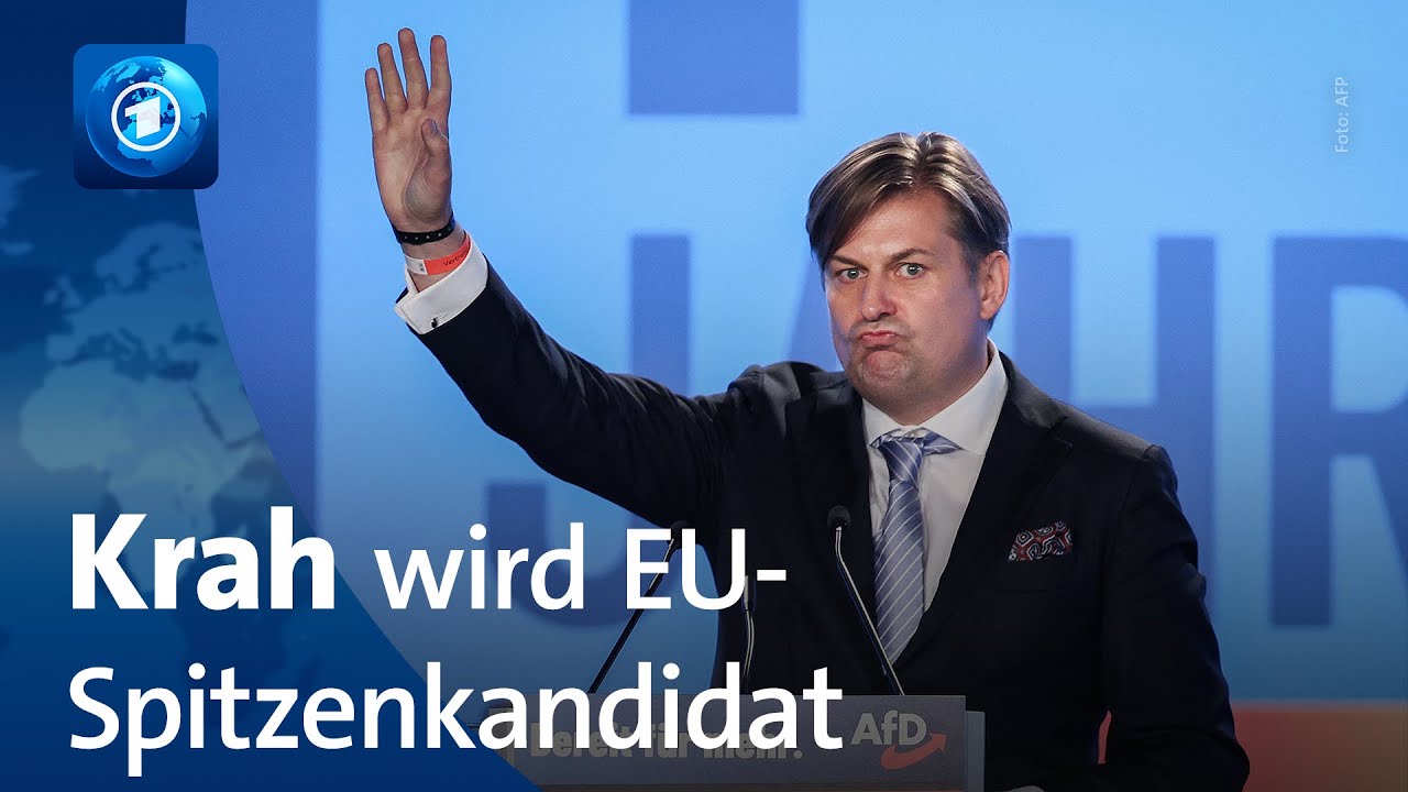 AfD-Politiker Maximilian Krah bleibt trotz Spionage-Affäre EU-Spitzenkandidat | BR24
