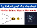 Neural Networks: How they work?