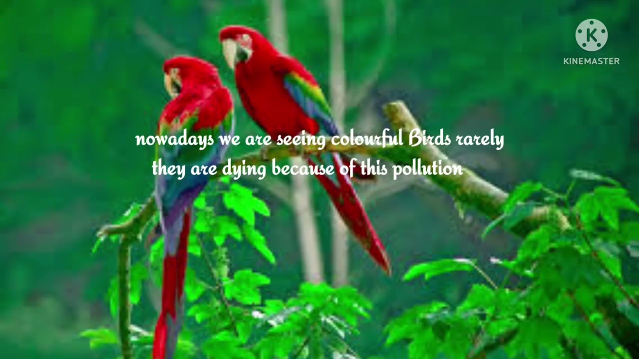 about birds||Save birds essay||few lines about birds||Naughty girl deekshu