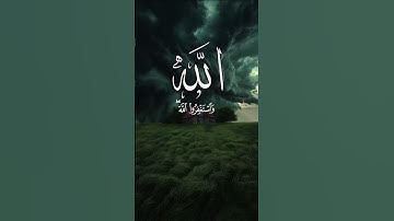 تلاوة خاشعة ومؤثرة للقارئ عبدالرحمن مسعد | سورة الرحمن بصوت جميل يهز القلوب