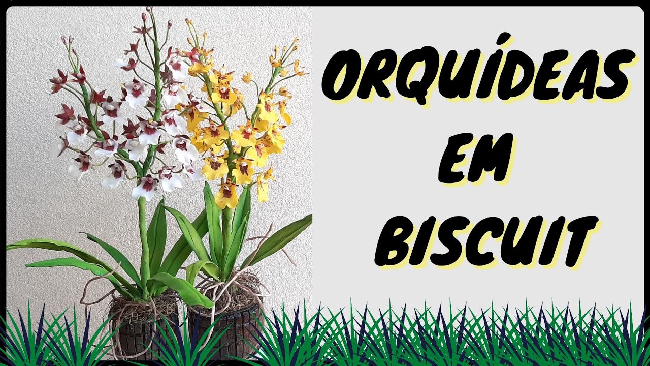 ORQUÍDEAS EM BISCUIT - CHUVA DE OURO (ONCIDIUM E SHERRY BABY)