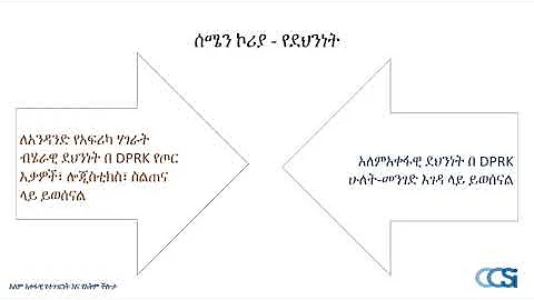 ዌብናር የ UN ማዕቀብ ትግበራ በሰሜን ኮሪያ  በአፍሪካዊ ሃገራት የሚገጥሙ ፈተናዎች