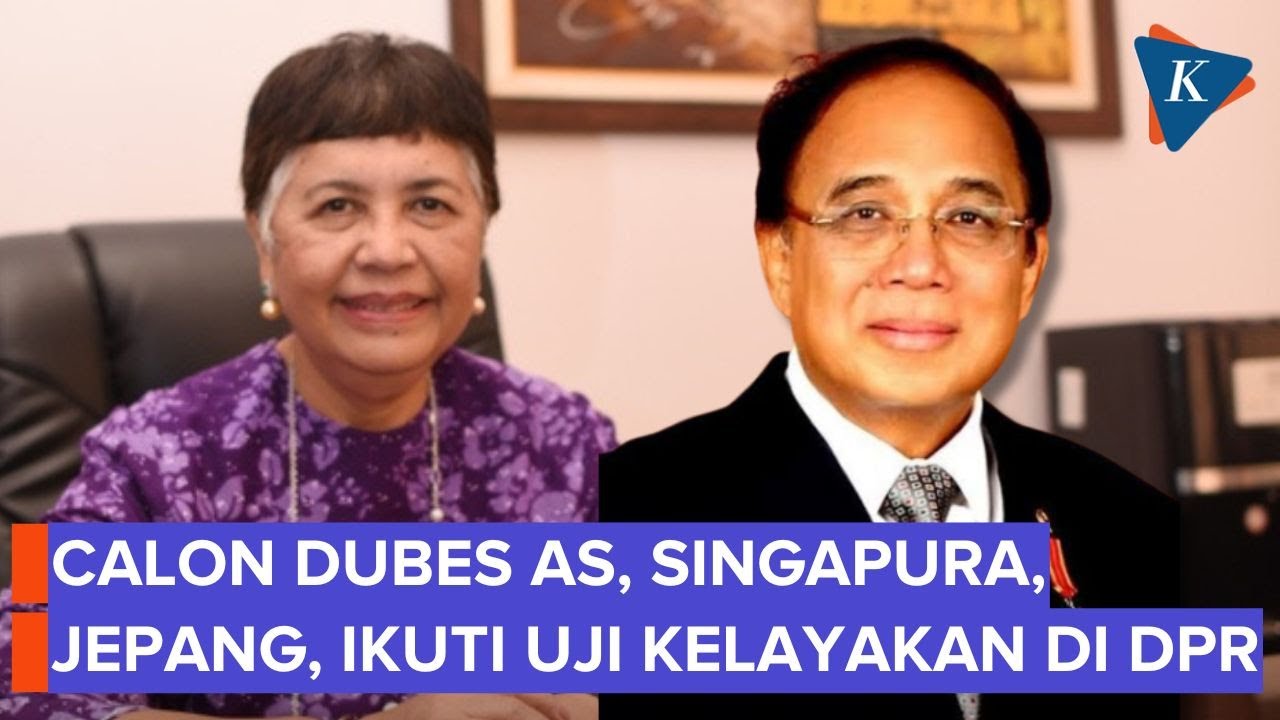 Adik Luhut hingga Indroyono Soesilo Ikut Uji Kelayakan Calon Dubes di DPR