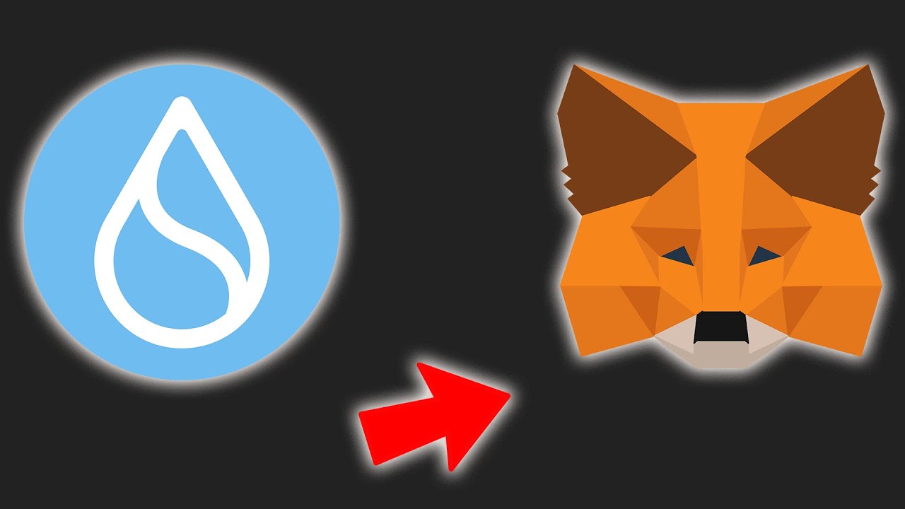 How to Add SUI to MetaMask Wallet