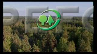 Pefc - La Certification Forestière La Plus Répandue