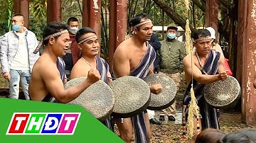 Lắng đọng sắc Xuân trên mọi miền tổ quốc | THDT