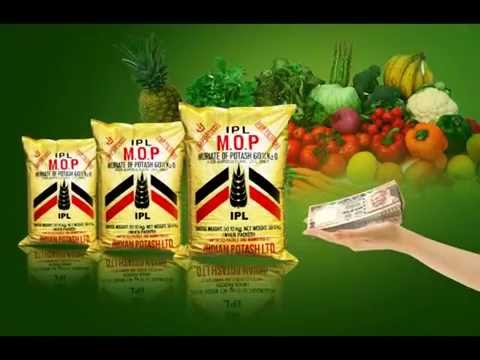 Image result for potash fertilizers ipl
