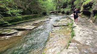 Watkins Glen State Park, State park in Schuyler County, New York. Gorge Waterfall