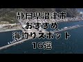 静岡県沼津市の海釣りスポット16選