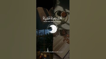 #راحه_نفسيه #القارئ #عبد #الرحمن#مسعد #🌿🤍