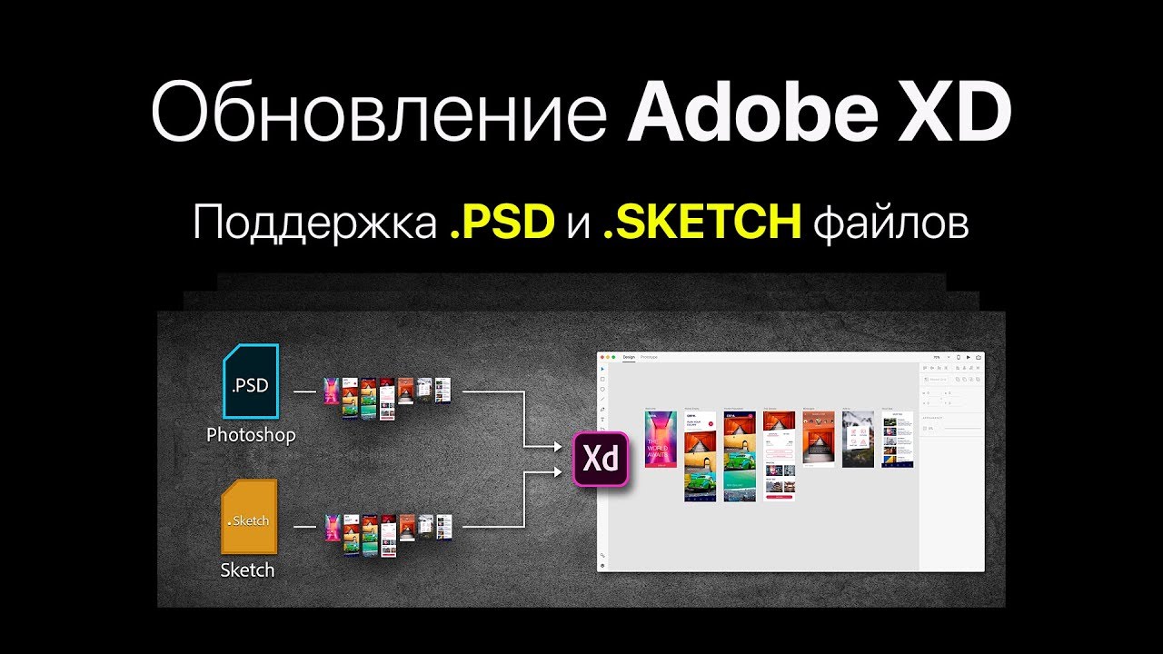 Обновление Adobe XD. Поддержка Sketch и PSD файлов.