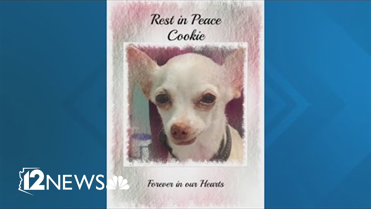 San Tan Valley couple says illegal fireworks lead to their dog's death