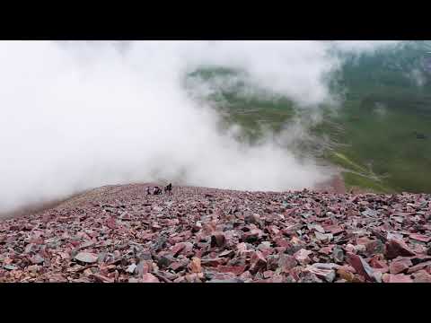 დიდი აბული