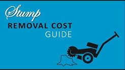 Tree stump removal cost guide