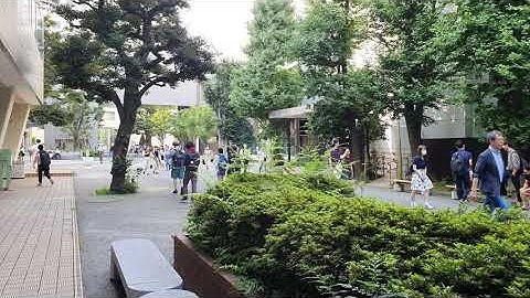 Japanese school bell - Westminster chimes