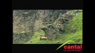 le Cantal (le plus grand volcan d'europe)