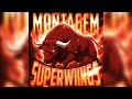 Montagem Superwings