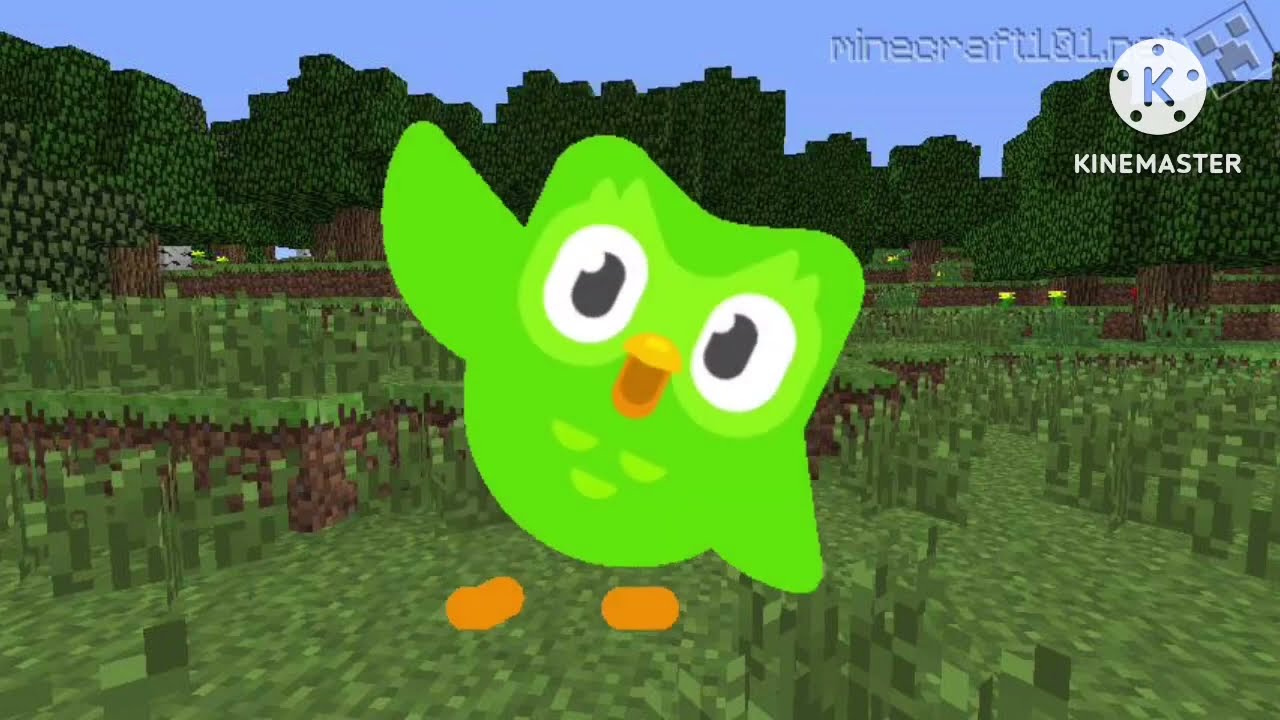 Duolingo   A Csibe Csip