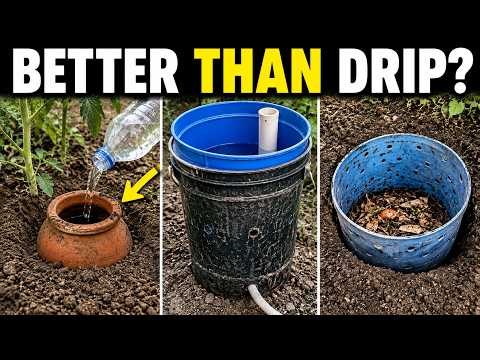Save Your Garden From Drying Out: 5 Trash Hacks That Beat a Drip System (ZERO Cost!)