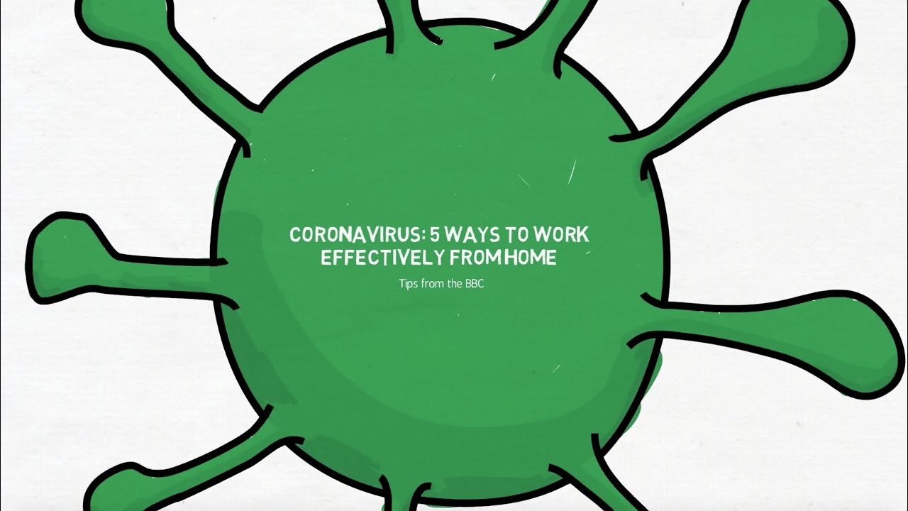 5 tips for working effectively from home | VideoScribe