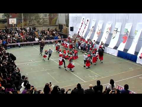 Video: La Minga-traditie Op Het Eiland Chiloé In Chili