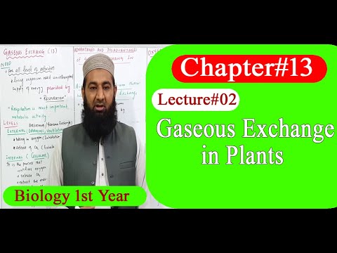 Biology Ch#13-Lecture#02 Gaseous Exchange in Plants (F.Sc 1st Year)