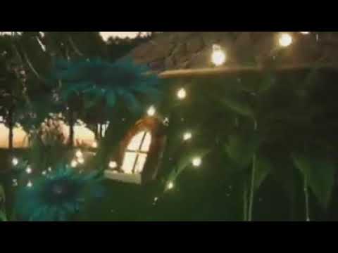 اللقاء الرابع عشر موقف من مواقف الصحابه والتابعين سيدنا زياد بن السكن