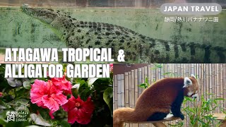 Spend a day at Atagawa Tropical & Alligator Garden - Izu【静岡･熱川バナナワニ園】