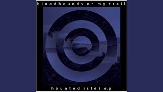 Video thumbnail of "Bloodhounds on My Trail - Places Like This"