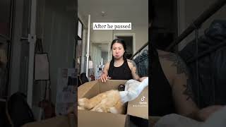 Remembering Her Dog Navi After He Ped Mypetsies