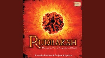 Shashtha Mukhi Rudraksha - Om Hreem Hum Namah