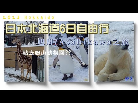 日本北海道6天自由行2023 Hokkaido (EP3) | 旭川/Asahikawa之旅 | 點去旭山動物園??