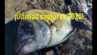 #5 Último día de pesca del año. Y últimas capturas.