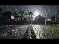 Heavy Rain Sounds Across Wet Rice Fields Near Cozy Village Neighborhoods at Night for Sleeping 7644