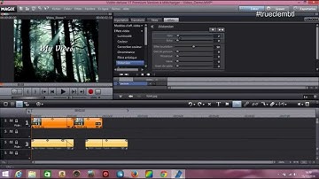 How to use MAGIX Video Deluxe (cut, effect, add text)