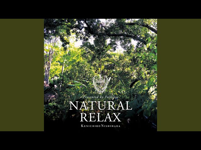 ★未開封 Kenichiro Nishihara Nature Relax Folklove (Inst.) - YouTube
